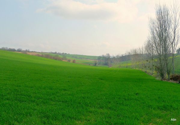 z01 - Paysage