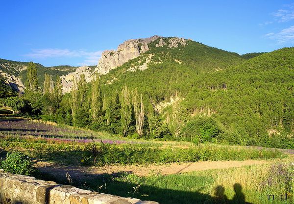 10 Drôme Provençale