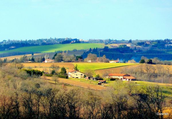 x10 - paysage 5