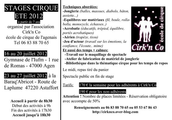 stage-cirque-ete2012.jpg
