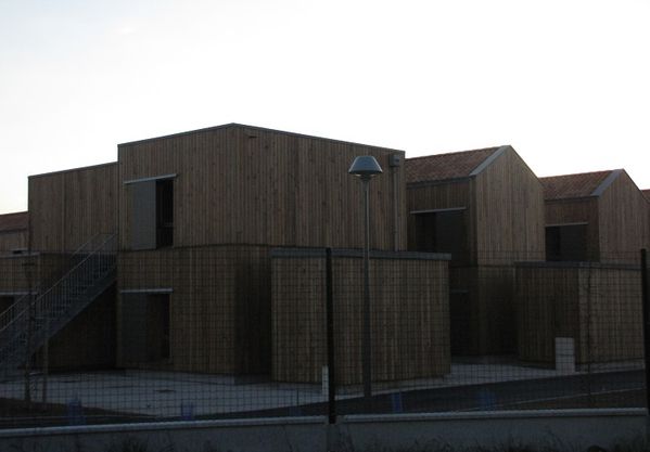 zeste-de-charron-015.JPG