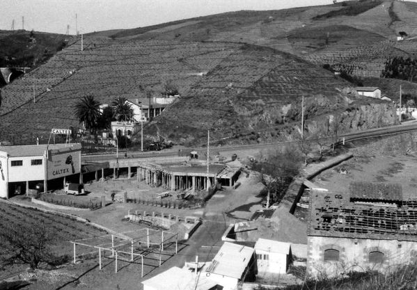 eelmes-2.jpg