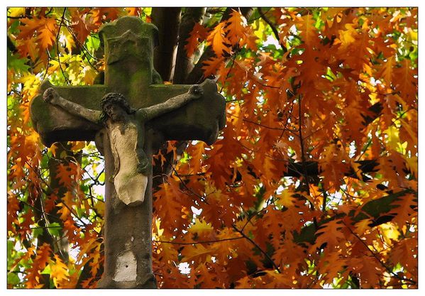Lumiere-d-automne---jpg