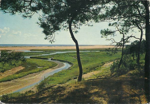 1973 - Baie de la Belle Henriette entre La Tranche sur Mer