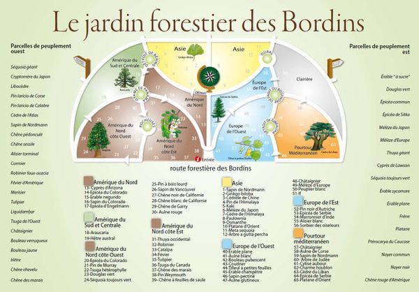 plan-arboretum.jpg