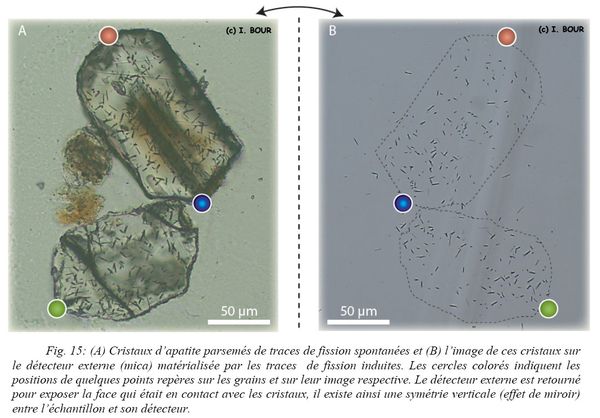 Fig15.jpg