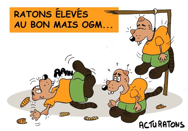 ogmratons-copie-1.jpg