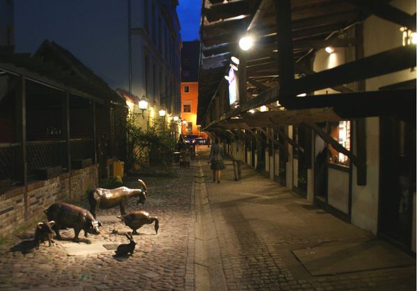 Wroclaw rue des anciennes boucheries Ul Starego Butchers po