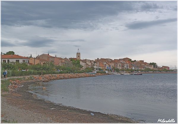 bouzigues-1.JPG