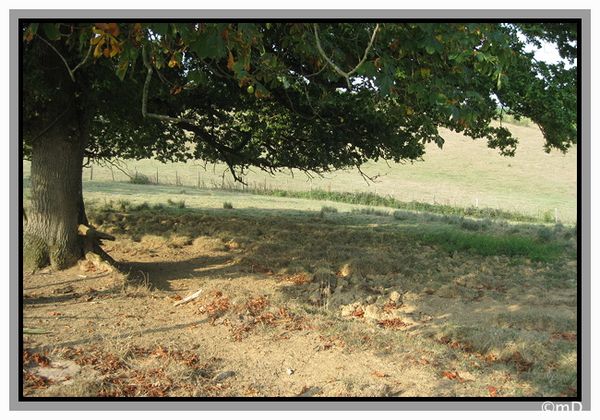 Couleurs de septembre-border