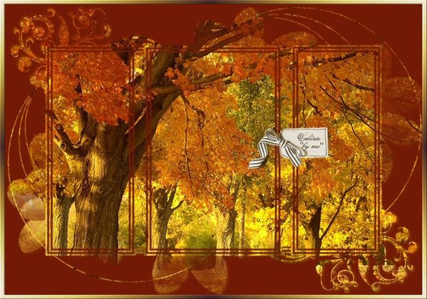 42-VBM PAYSAGE AUTOMNE 17.09.11