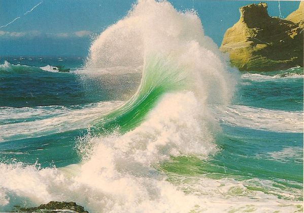 cartes-postales-Belle-vague.jpg