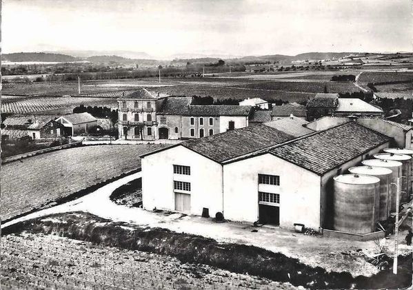 coope-Roubia-0.jpg