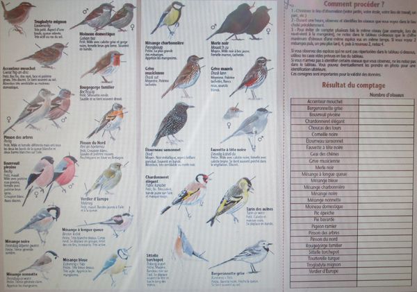 013r Dépliant BV Comptage oiseaux jardin 2014 2s2-copie-1
