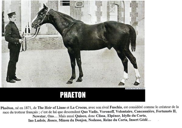 Phaeton-0006.JPG