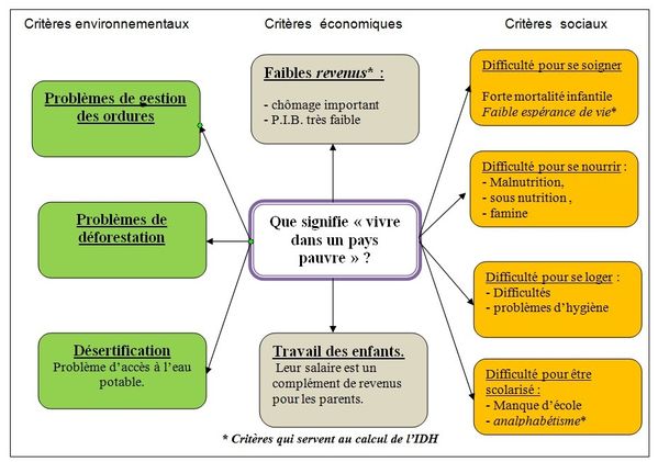 organigramme_complete-copie-1.jpg