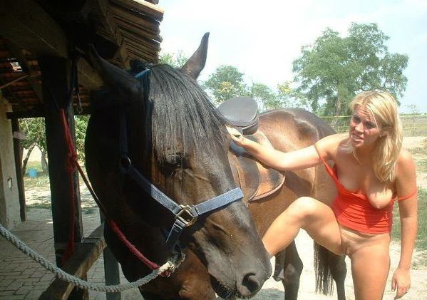 sexe video cheval rapports sexuels doux sexe video cheval rapports sexuels doux
