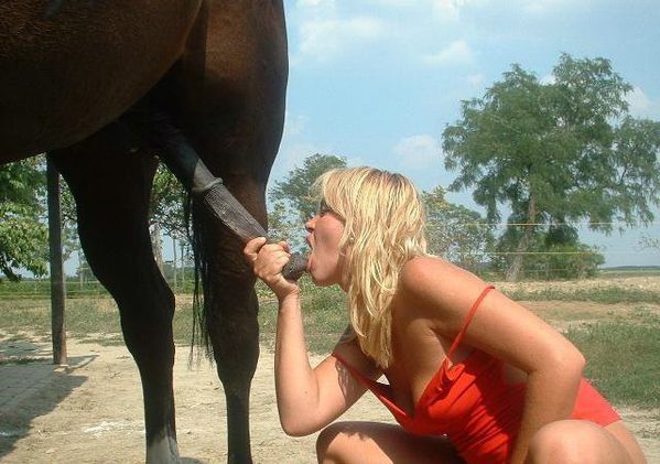cheval sexuel vidéos de sexe gratuit cheval sexuel vidéos de sexe gratuit