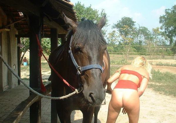 cheval sexuel video sexe indien cheval sexuel video sexe indien