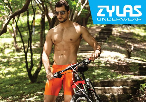 zylas-underwear-2013collection-21.jpg