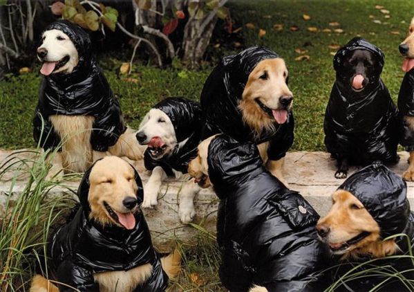 moncler-fw09-campaign-by-bruceweber-2-medium-1-131625_xl-66.jpg