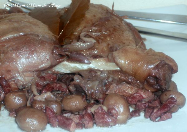 canard braisé au vin 2
