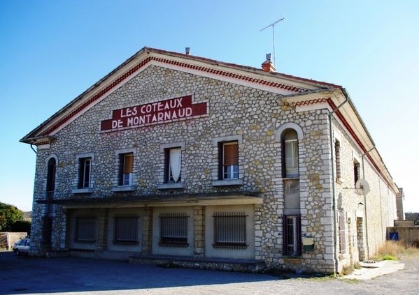coope-Montarnaud-3-cmp.jpg
