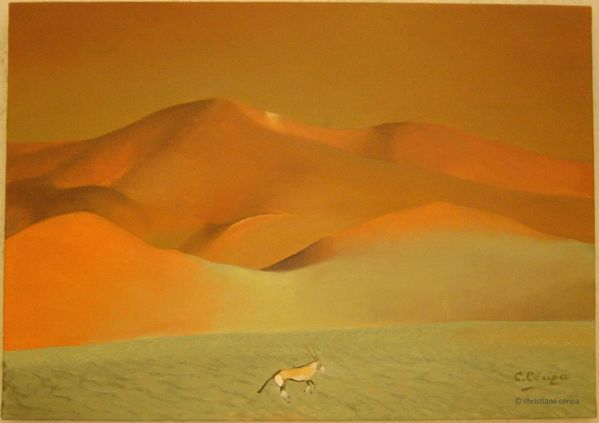 08 - Désert Namibie (oryx)
