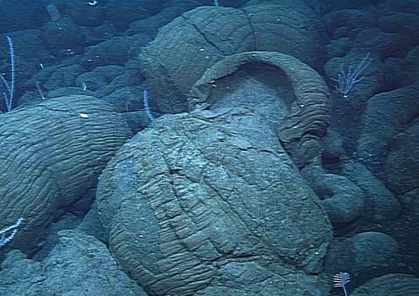 Puna ridge pillow lavas 2107 m deep - 2001 MBARI