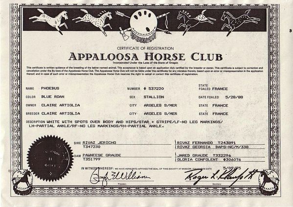 Pedigree Phoebus aphc
