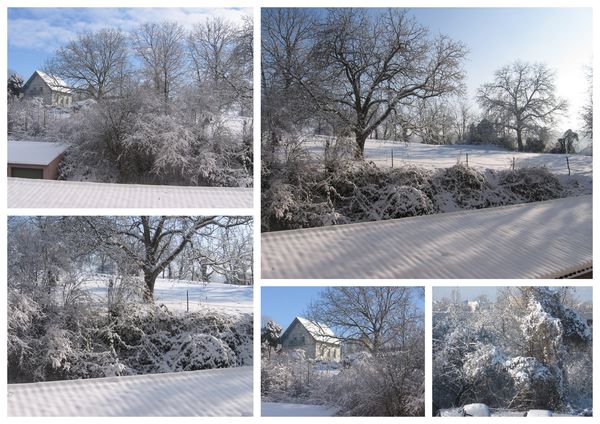 neige-25-12-2010.jpg