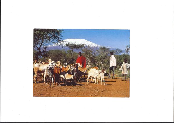 Mon voyage au KENYA en 1991 008