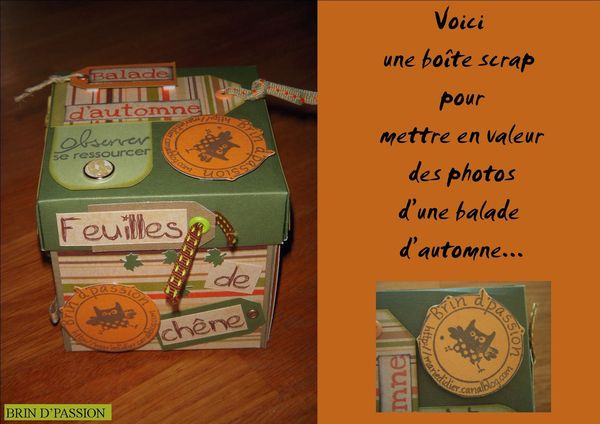 boite-scrap-automne.jpg