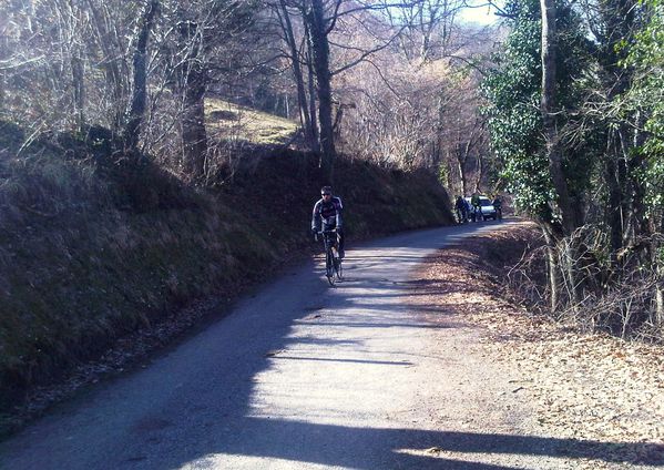 IMG00246-20120310-1057