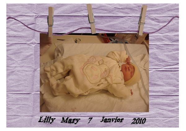 lilly02.jpg