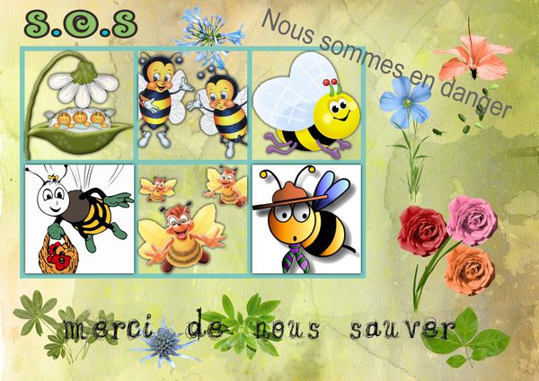 abeilles.jpg