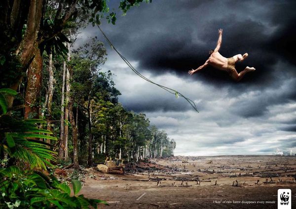 Pub-wwf-Tarzan