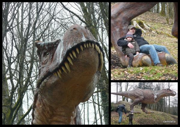 dino zoo 22 février 2011