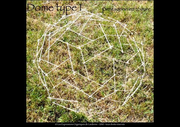 06J Domes 356 complexes 2 bis