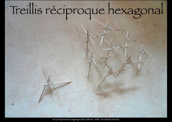 03C Treillis reciproque hexagonal 00
