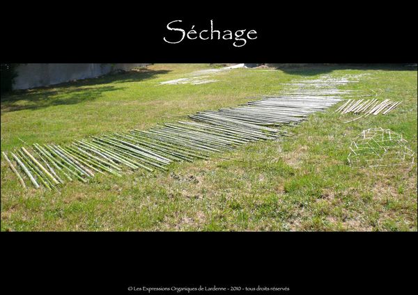 01 sechage