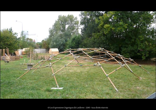 31 Assemblage