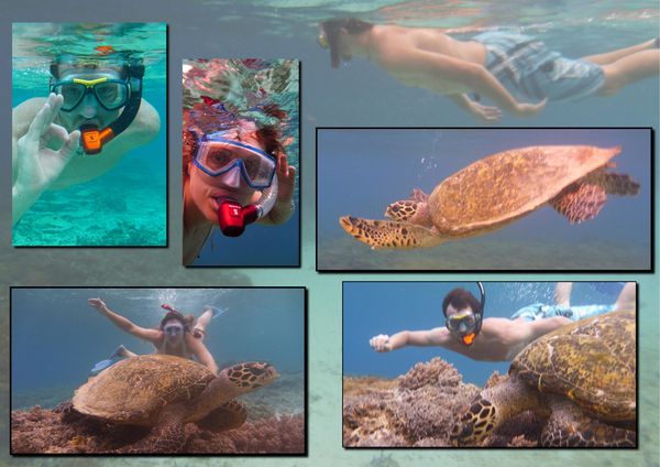 13-Snorkeling-tortue-Gili-Trawagan.jpg