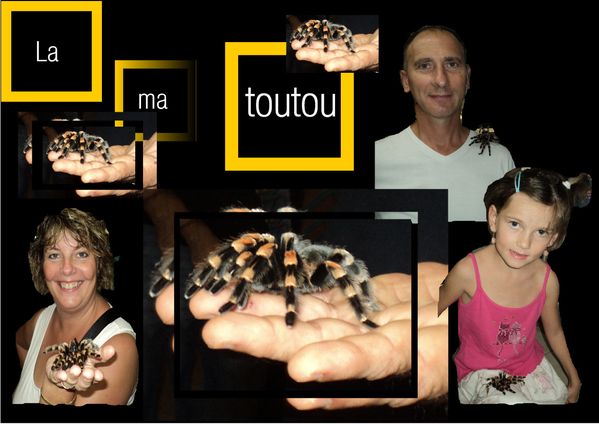 rencontre fille guyane