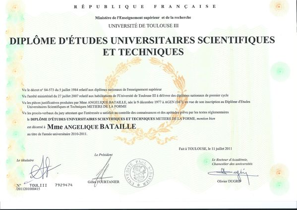 diplome universitaire a toulouse