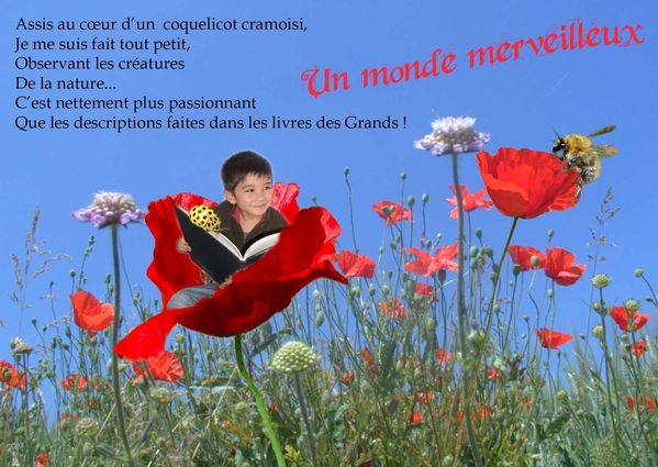 monde