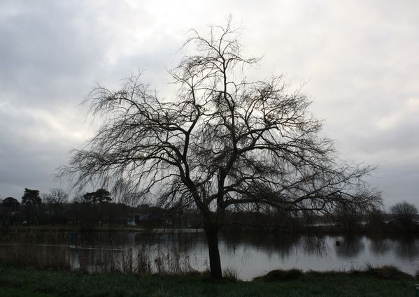 2012-01-23 (5)