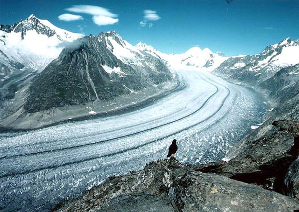 glacier.jpg