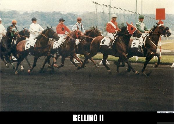 Bellino-II-0008.jpg