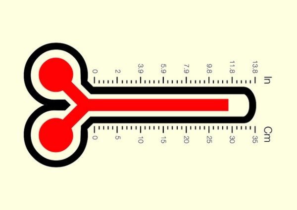 taille du sexe sex insolite taille du sexe sex insolite